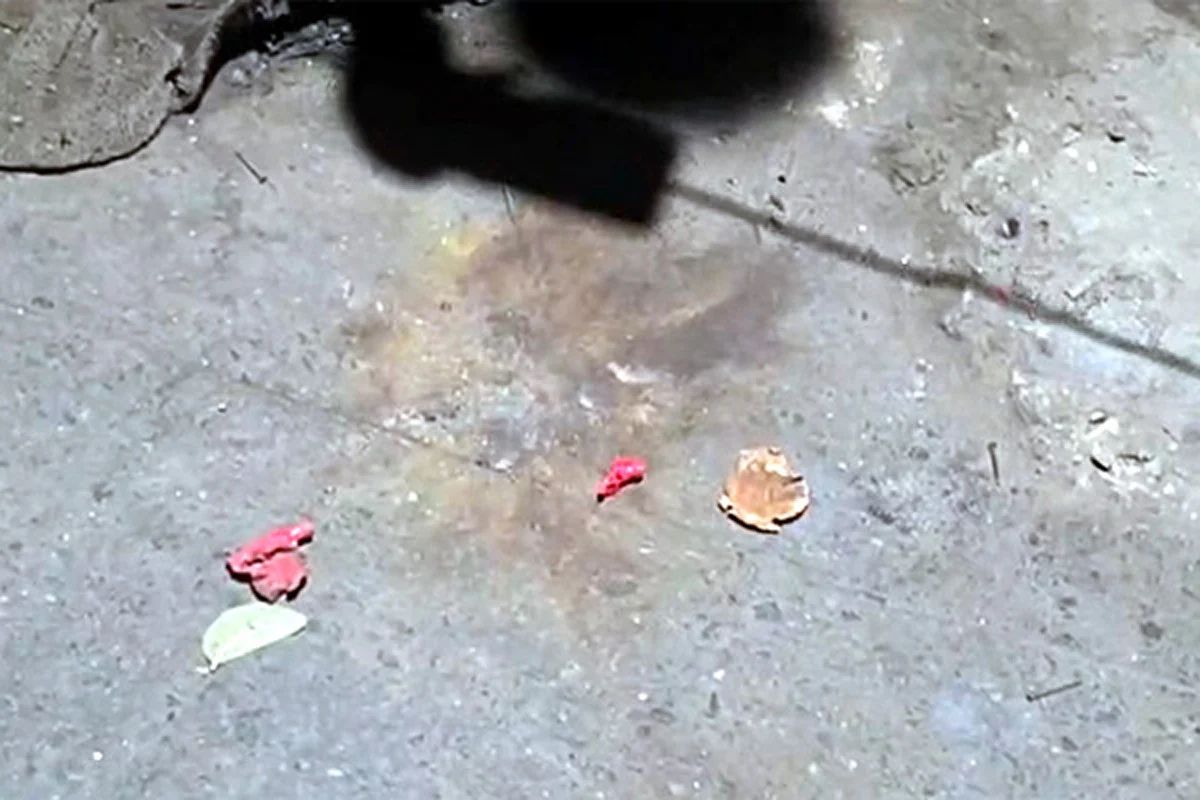 ঢাবির টিএসসিতে ককটেল বিস্ফোরণ