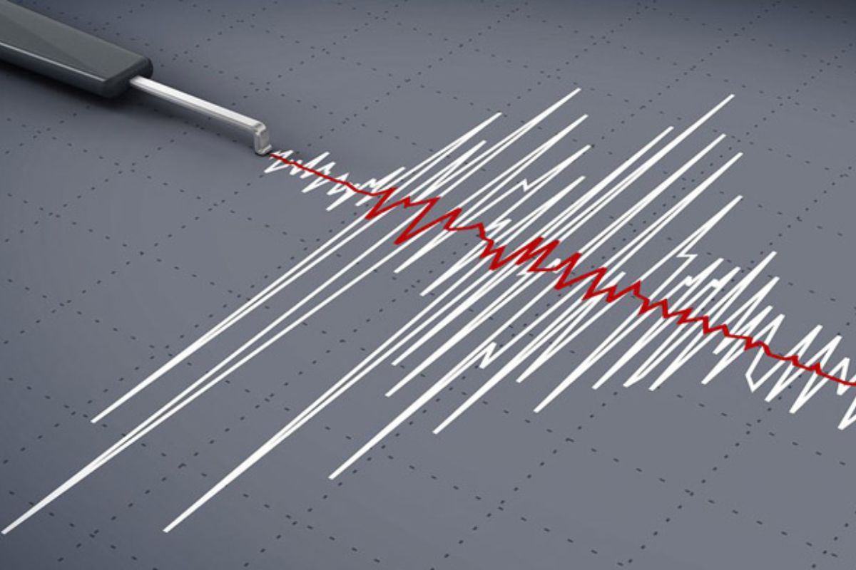 ভূমিকম্পের কবলে টেস্ট ম্যাচও, খেলার মধ্যে ঘটল অপ্রত্যাশিত ঘটনা