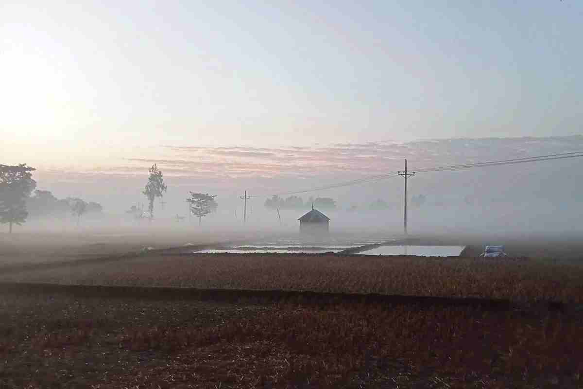 শীতের প্রভাব বাড়ছে, তাপমাত্রা কমছে: আবহাওয়া অফিস