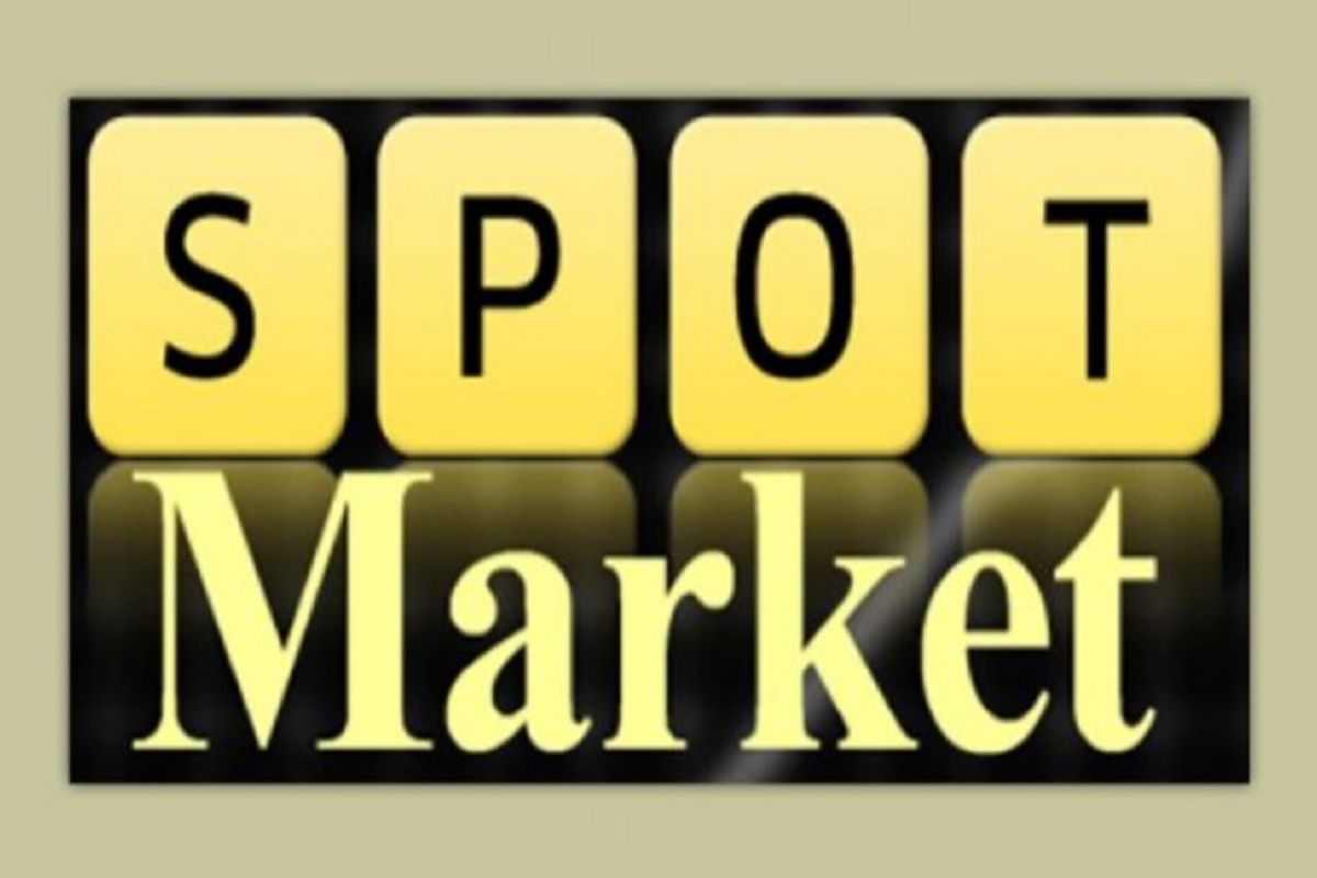 স্পট মার্কেটে গেল ৭ কোম্পানির শেয়ার