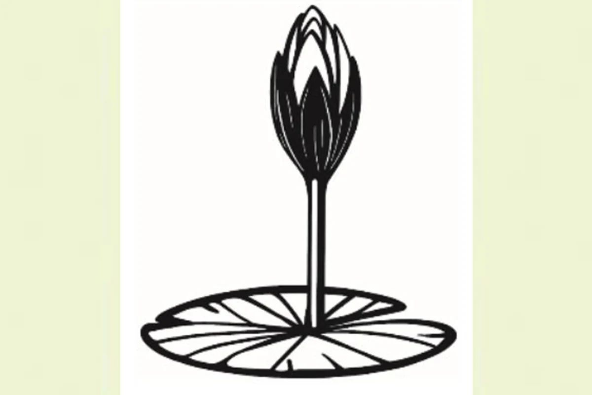 ইসির ওয়েবসাইটে যুক্ত হলো এনসিপির প্রতীক ‘শাপলা কলি’র স্কেচ