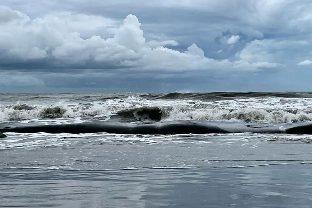 ঘূর্ণিঝড় ডিটওয়াহ: দেশের চার বন্দরে সতর্ক সংকেত