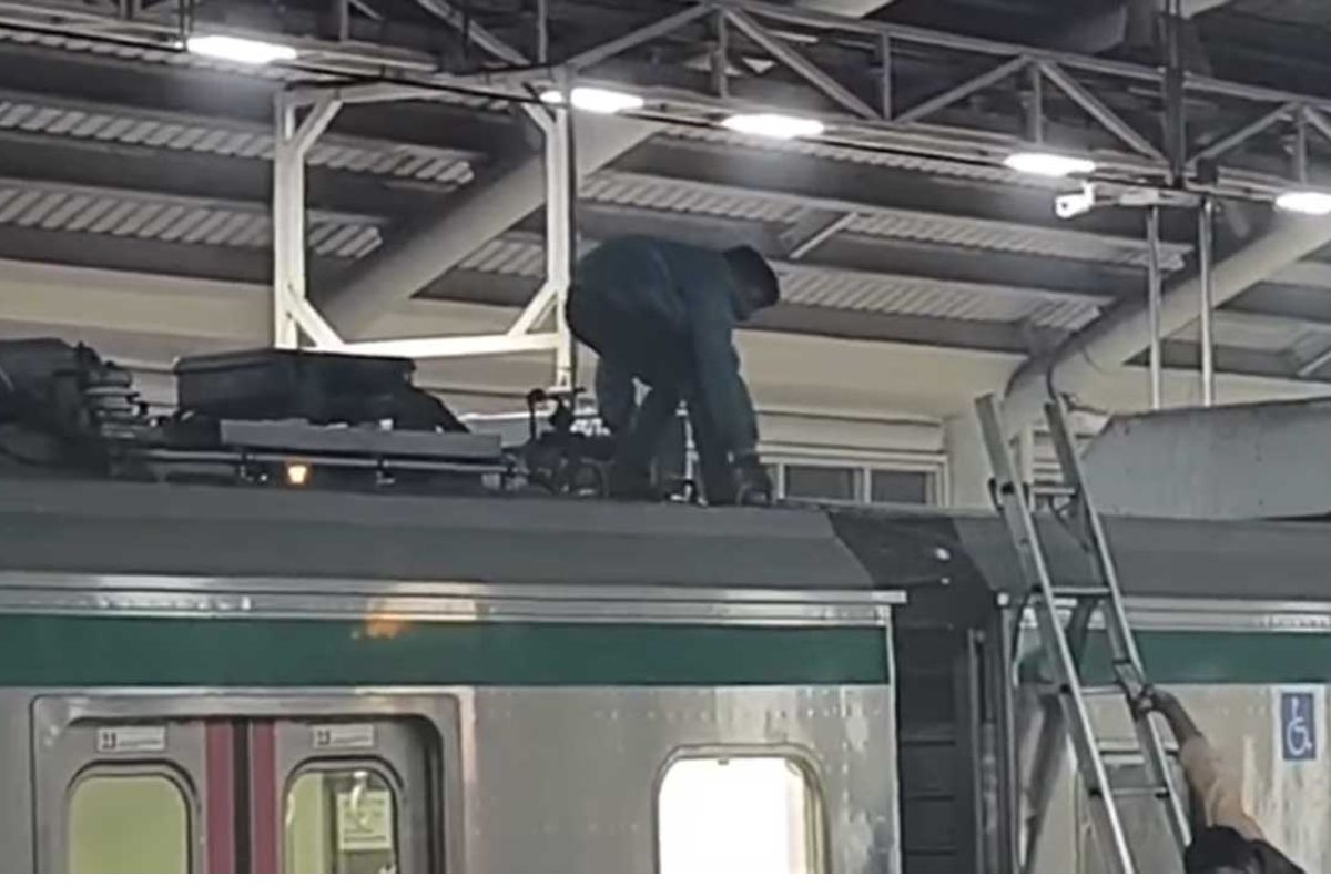 মেট্রোর ছাদে যাত্রী, ট্রেন চলাচল সাময়িক স্থগিত