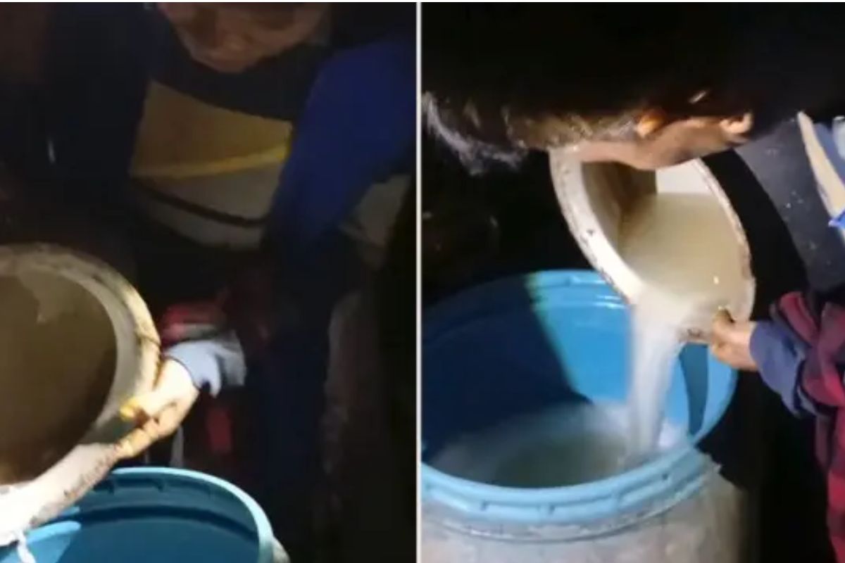 বিশ্ববিদ্যালয়ের ভেতরেই মদ তৈরির কারখানা: গ্রে’প্তার এক