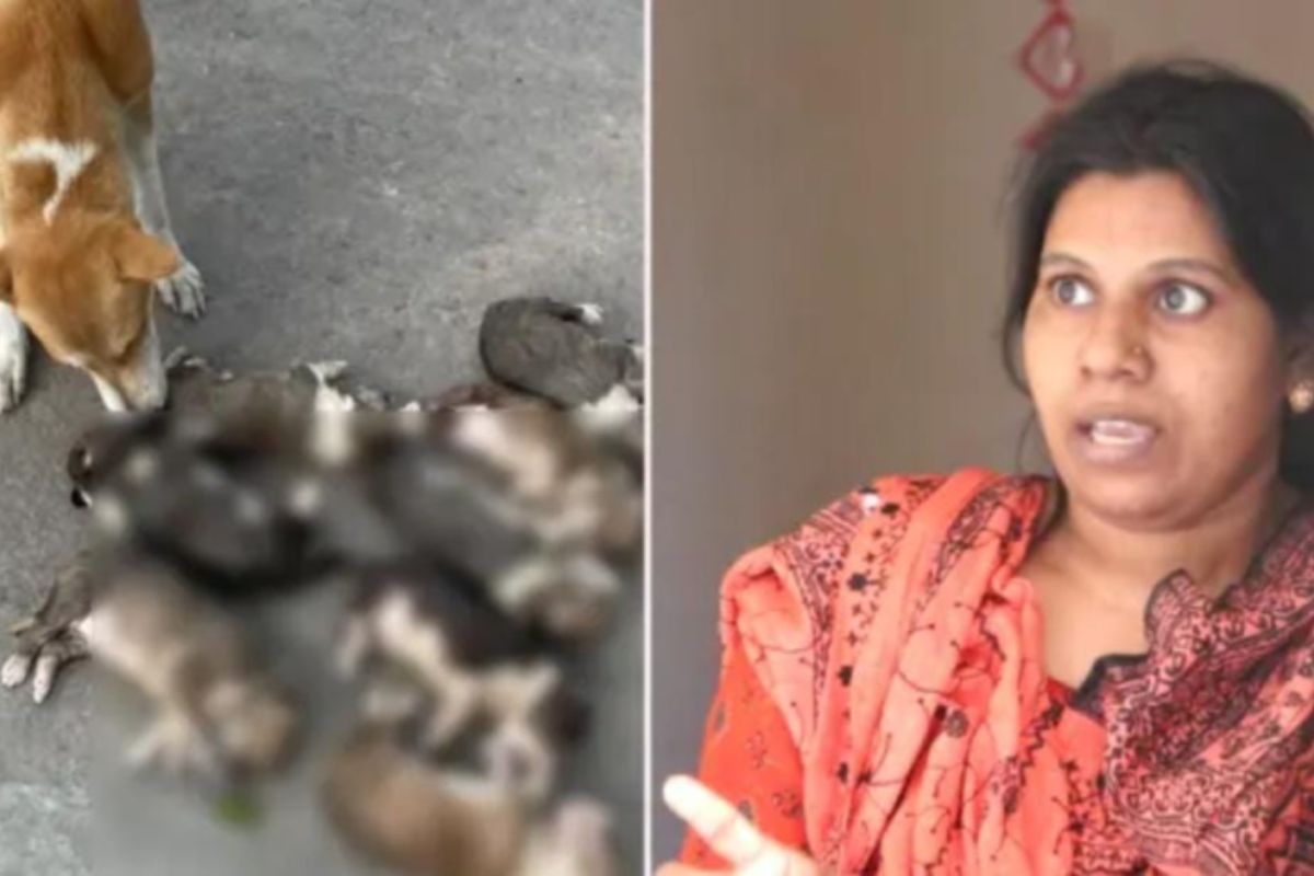 ৮ কুকুরছানা হ’ত্যা: সরকারি কর্মকর্তার স্ত্রী গ্রেপ্তার