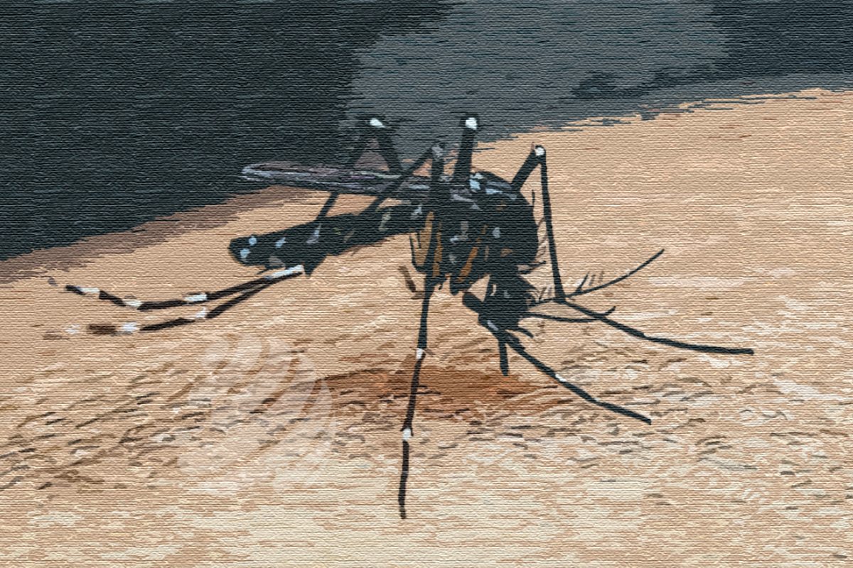 ডেঙ্গুতে ২৪ ঘণ্টায় মৃ'ত্যু ৩, হাসপাতালে ভর্তি ৫৬৫