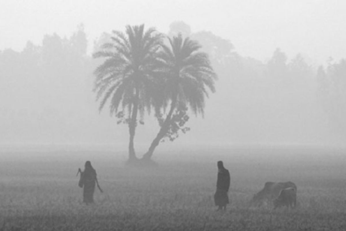 আসছে তীব্র শৈত্যপ্রবাহ! তাপমাত্রা নামবে ৪ ডিগ্রিতে
