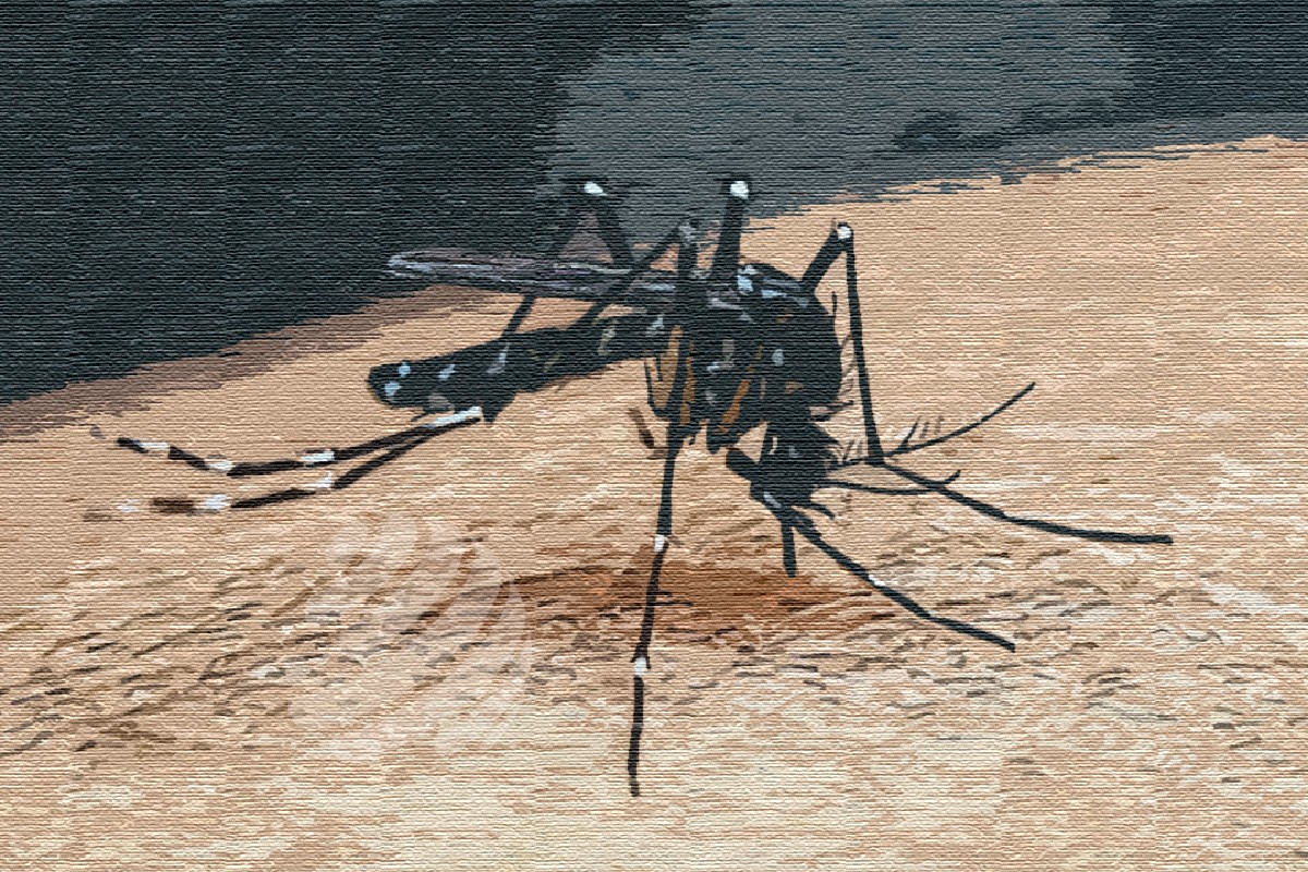 ডেঙ্গুতে ২৪ ঘণ্টায় মৃ'ত্যু নেই, হাসপাতালে ভর্তি ২০০