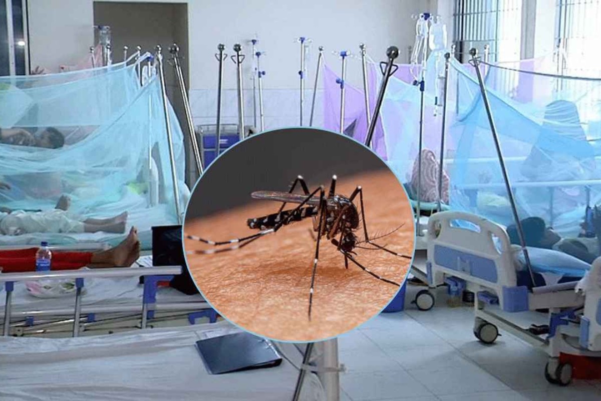 ডেঙ্গুতে ২৪ ঘণ্টায় মৃ'ত্যু নেই, হাসপাতালে ভর্তি ১৬৫