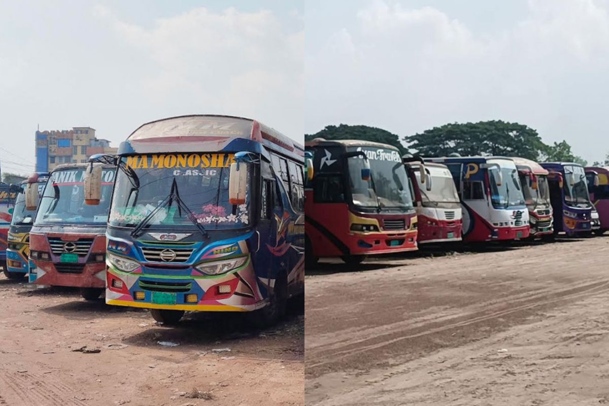 তারেক রহমানকে বরণে ঢাকার পথে সারা দেশ, লাখো নেতাকর্মীর স্রোত