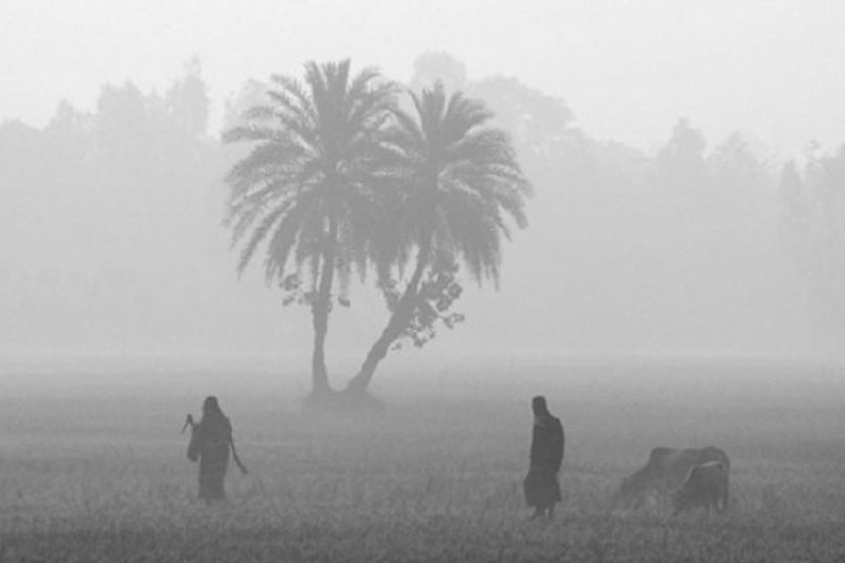 ধেয়ে আসছে শৈত্যপ্রবাহ, যা জানাল আবহাওয়া অধিদপ্তর