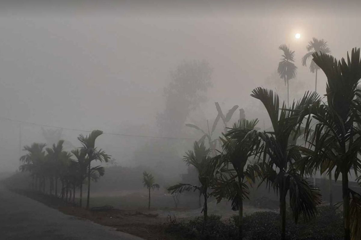 শীতের তীব্রতা কমছে না, অব্যাহত থাকবে শৈত্যপ্রবাহ ও কুয়াশা