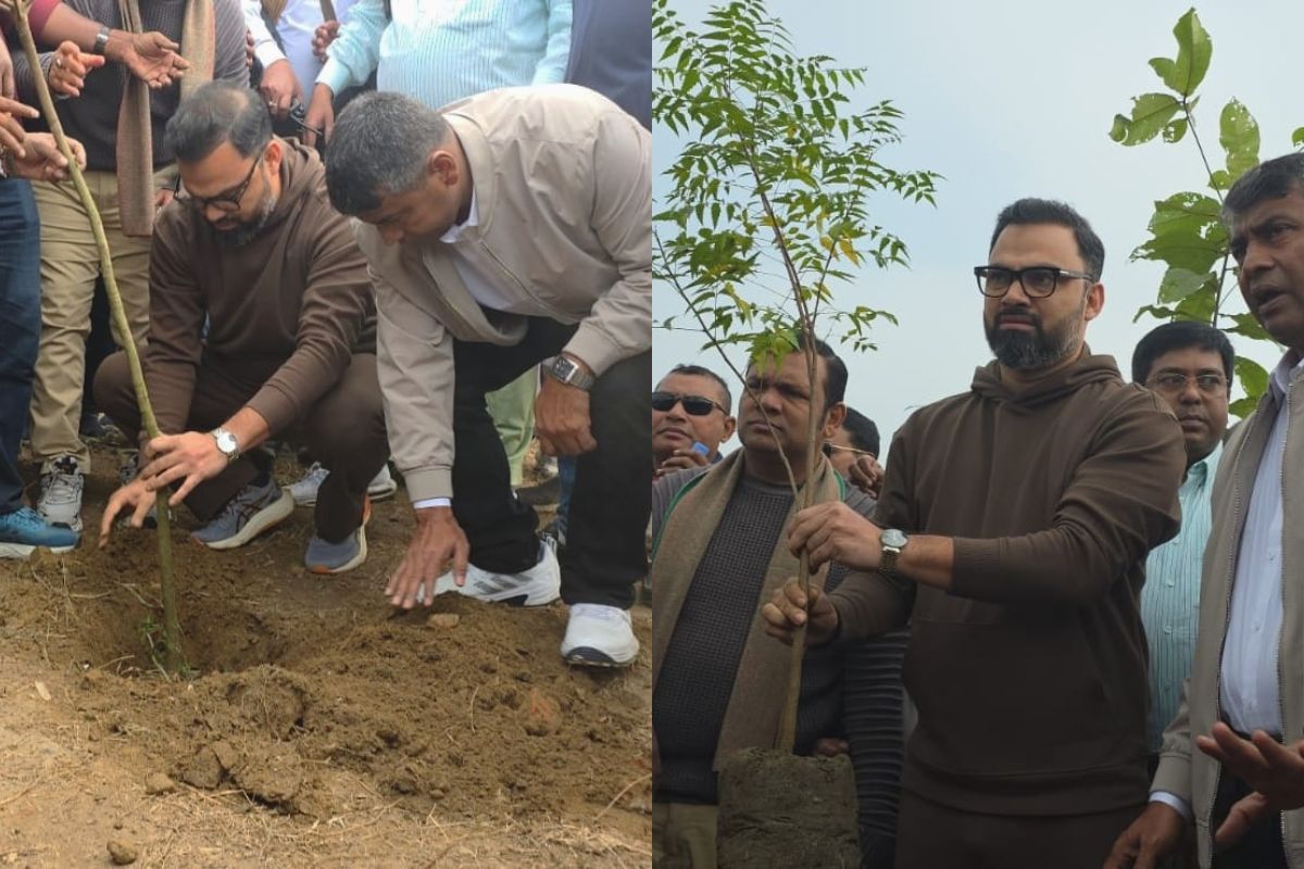 তারেক রহমানের সংবর্ধনাস্থলে বিএনপির বৃক্ষরোপণ কর্মসূচি