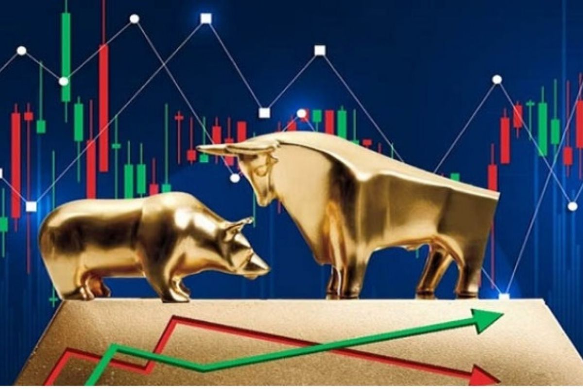 ২০২৫ সালে শেয়ারবাজারে বড় কোম্পানিগুলোর বড় দুর্দিন