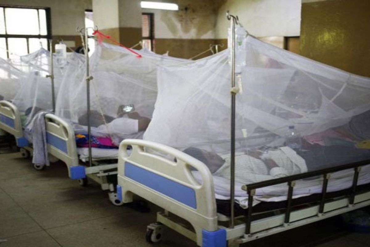 গত ২৪ ঘণ্টায় ডেঙ্গুতে আক্রান্ত হয়ে হাসপাতালে ভর্তি ৬৯