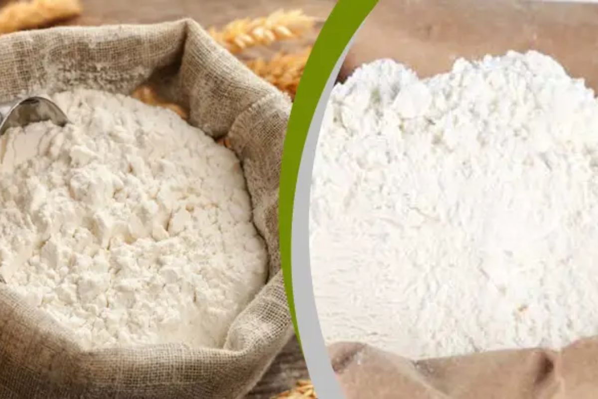 খোলা আটা ২৪ টাকা, ২ কেজি প্যাকেট আটা ৫৫ টাকায় বিক্রি