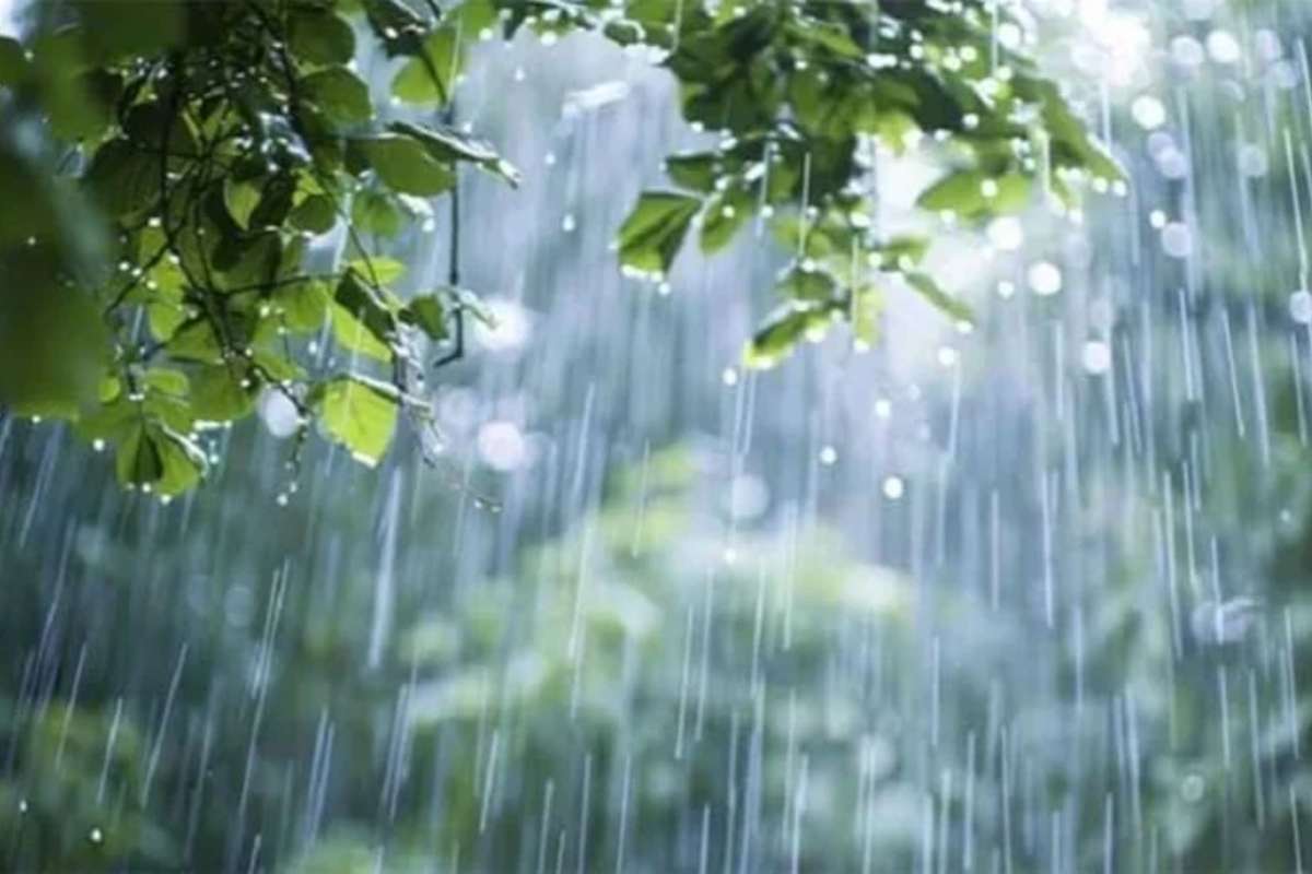 দুই বিভাগে বৃষ্টির সম্ভাবনা
