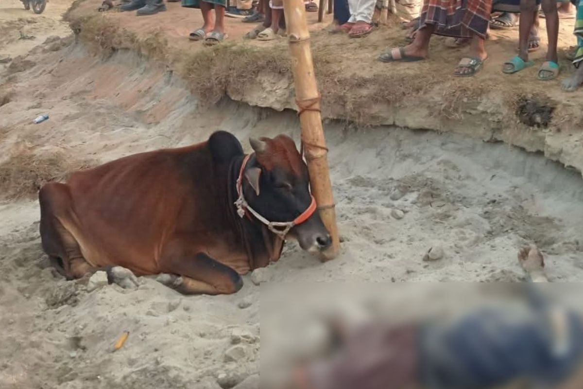 কিশোরগঞ্জে গরু চোর সন্দেহে গণপিটুনিতে যুবকের প্রাণহানি