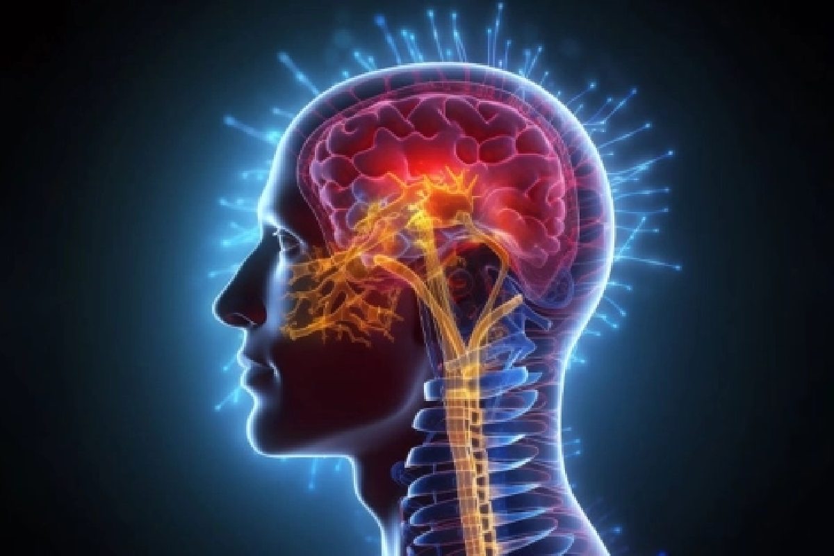 আপনার মস্তিষ্ক বাঁচাতে এখনই ত্যাগ করুন ৫ অভ্যাস