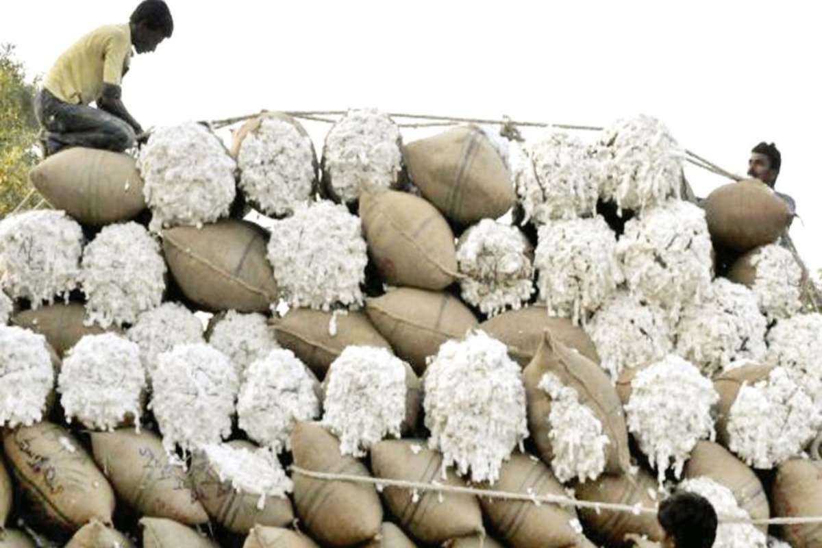 বস্ত্র খাতে মন্দা: বাংলাদেশে তুলা আমদানির লক্ষ্যমাত্রা কমালো ইউএসডিএ