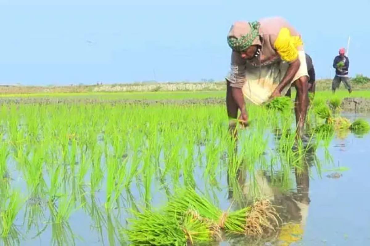 স্বাভাবিকের চেয়ে তিন গুণ বেশি বৃষ্টি, বাঁচল ২ লাখ টন ডিজেল