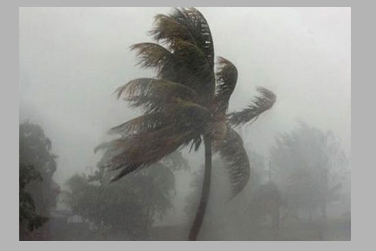 ৬০ কিমি বেগে ঝড়ের আশঙ্কা ১৫ জেলায়