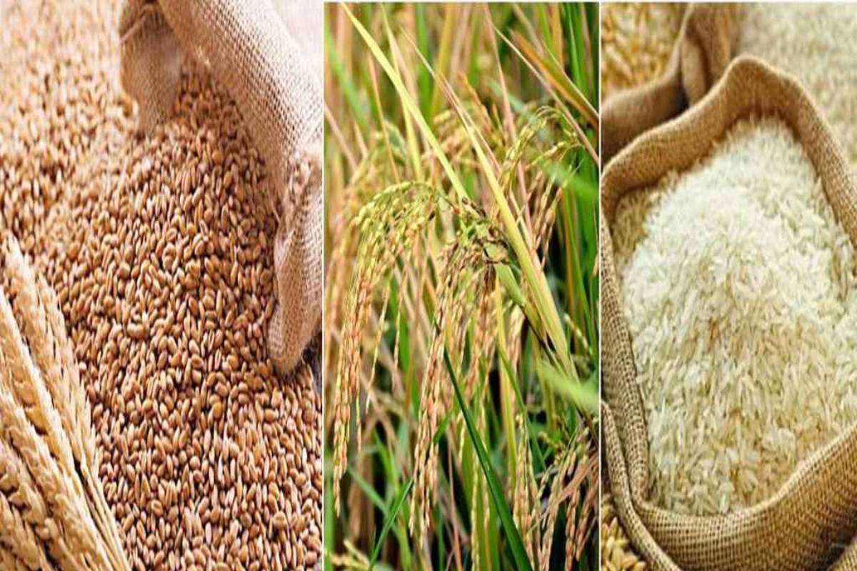 বোরো মৌসুমে ধান-চাল-গমের নতুন দাম ঘোষণা