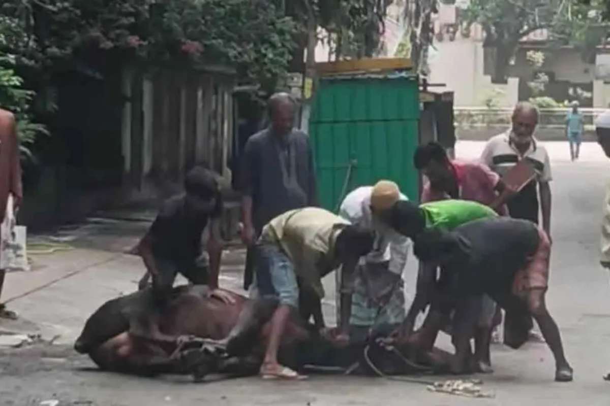 ঈদের দ্বিতীয় দিনেও রাজধানীতে চলছে পশু কোরবানি