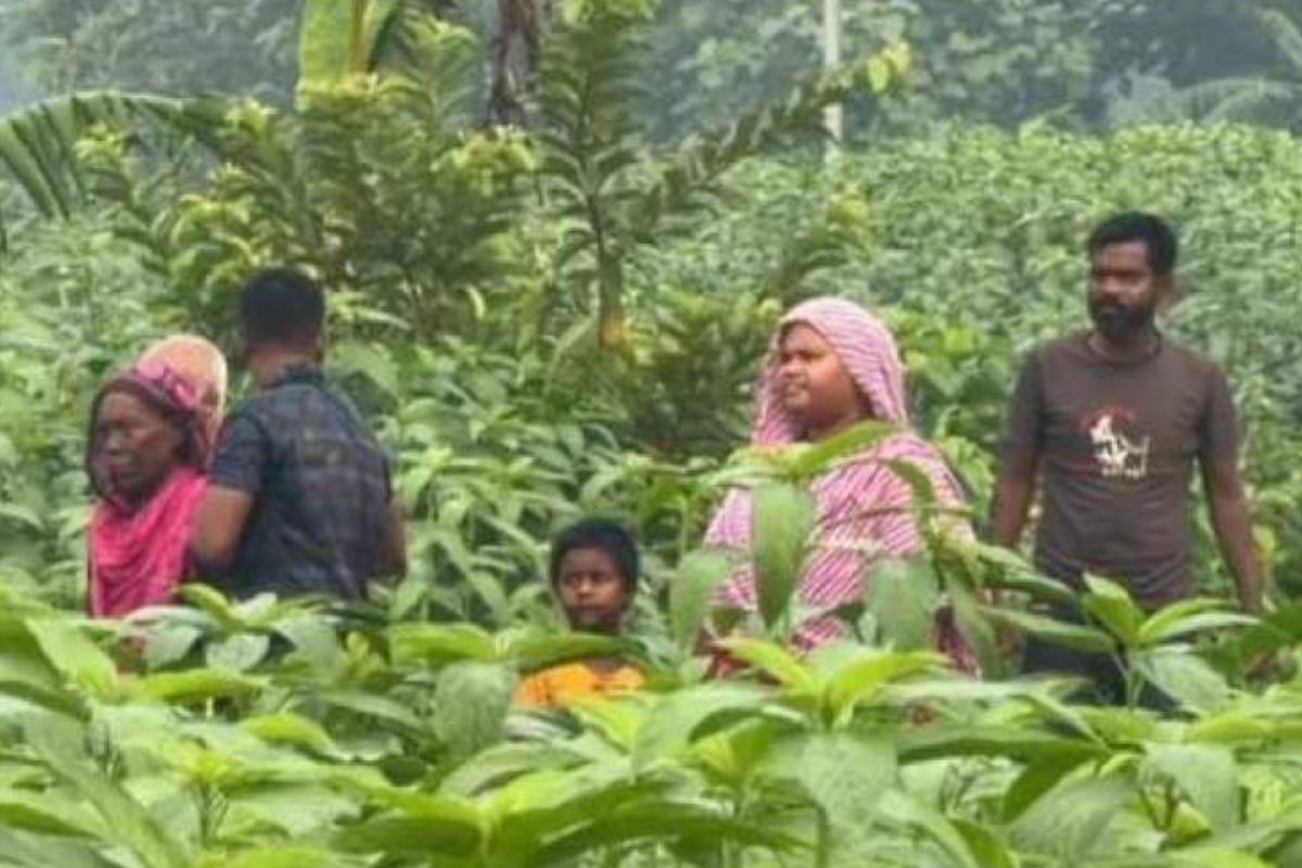 সীমান্তে পুশ ইন ব্যর্থ, ৬ জনকে ফিরিয়ে নিল বিএসএফ