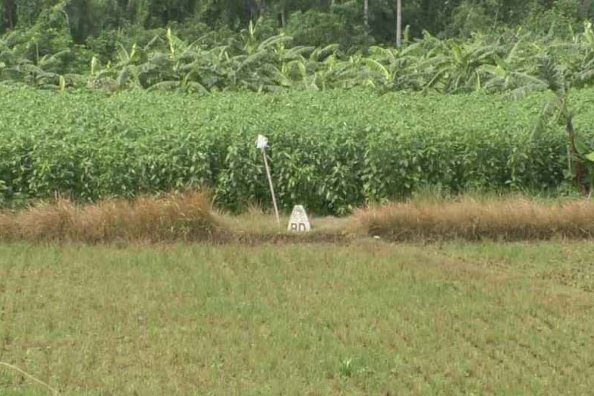 দর্শনা সীমান্তে বিএসএফের পুশইন চেষ্টা, কঠোর অবস্থানে বিজিবি
