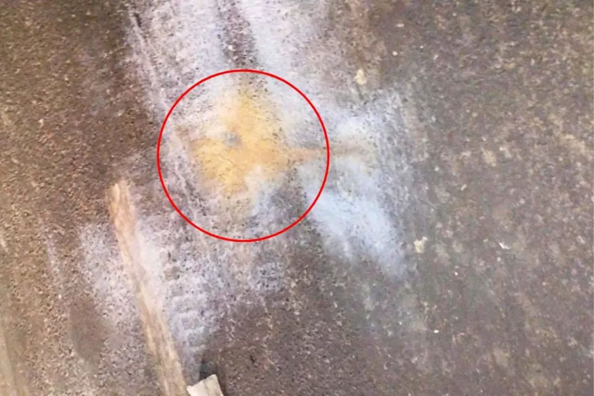 রাজধানীতে ককটেল বিস্ফোরণ