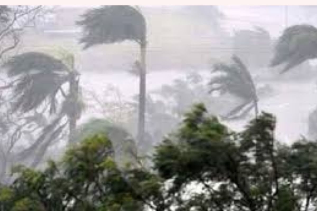 ১১ জেলায় ঝড়-বৃষ্টির আশঙ্কা, নদীবন্দরে ১ নম্বর সতর্ক সংকেত
