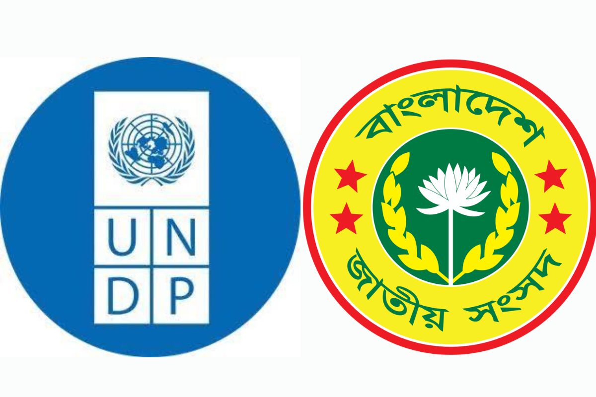 জাতীয় সংসদে ইউএনডিপির ইয়ং ফেলোশিপ, আবেদন করতে পারবেন যারা