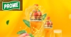 জনবল নিয়োগ দিচ্ছে প্রমি এগ্রো ফুডস