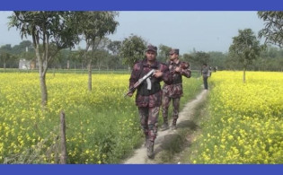 চারদিন উত্তেজনার পর চাঁপাইনবাবগঞ্জ সীমান্ত স্বাভাবিক
