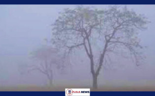 কুয়াশার সঙ্গে রাতের তাপমাত্রা সামান্য বাড়তে পারে
