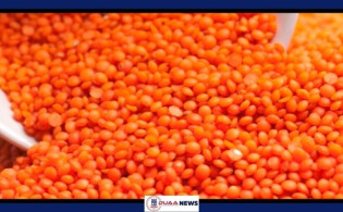 রমজান উপলক্ষ্যে ১০ হাজার টন মশুর ডাল কিনবে সরকার