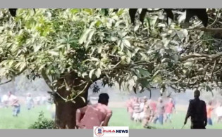 গাছের ডাল কাটতে বাংলাদেশে বিএসএফ, সীমান্তে উত্তেজনা