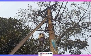 ঢাবিতে গাছ থেকে ঝুলন্ত মরদেহ উদ্ধার