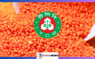টিসিবির জন্য সাশ্রয়ী মূল্যে ১০ হাজার টন ডাল কিনবে সরকার