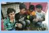 বাকৃবিতে অস্ত্রসহ আটক ৫
