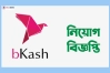 চাকরি দিচ্ছে বিকাশ, আবেদন অনলাইনে