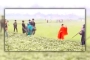 আওয়ামী লীগ-বিএনপি সংঘর্ষে নিহত ২