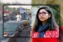 শোডাউনের টাকার উৎস্য নিয়ে জারার চিঠি; জবাব দিলেন সারজিস