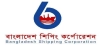 সাপ্তাহিক লেনদেনের শীর্ষে বিএসসি