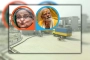 হাসিনার বুদ্ধিতে ভিসা ও ট্রান্সশিপমেন্ট বাতিল, বিপাকে মোদি