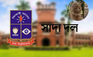 চারুকলায় ফ্যাসিবাদের মুখোশে আগুন পরিকল্পিত : ঢাবি সাদা দল