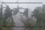 সন্ধ্যার মধ্যে ৮ জেলায় ঝোড়ো হাওয়াসহ বৃষ্টির আভাস