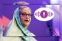 ‘২২৭ জনকে হ-ত্যার লাইসেন্স পেয়েছি’ বক্তব্যটি শেখ হাসিনার: তদন্ত সংস্থা