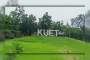 ফের কুয়েট শিক্ষার্থীর ওপর হামলা